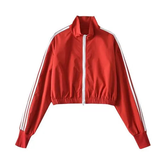 39682234089601|39682234122369|39682234155137|39682234187905